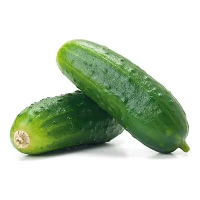 Pack 2 Sobres Semillas De Pepino National Pickles - Huerto