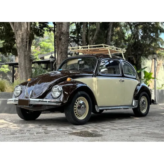 Escarabajo Fusca Beetle