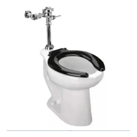 Sanitario De Fluxometro
