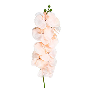 1pza Vara De Orquidea Artificial Realista Con 10 Hojas 1pza Vara De Orquidea Artificial Realista Con 10 Hojas