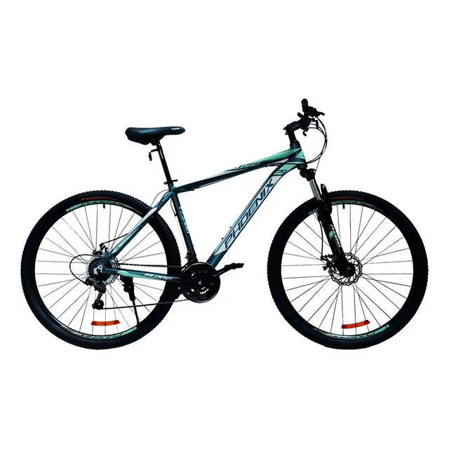Bicicleta Phoenix RL002