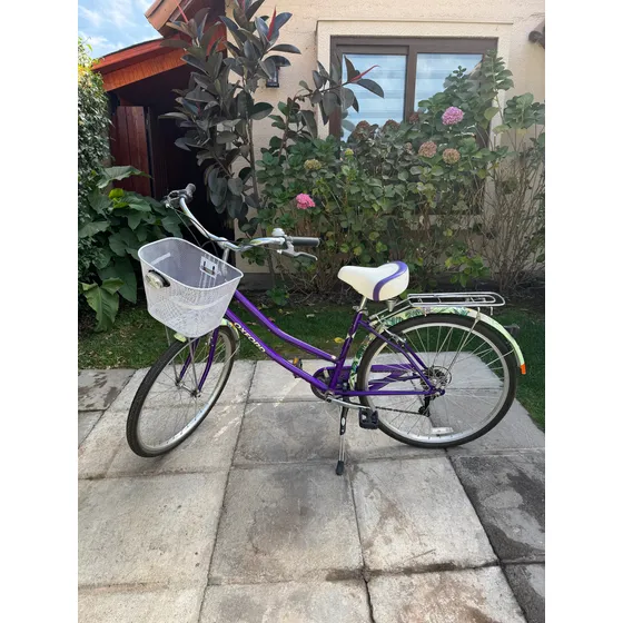 Bicicleta Oxford Cyclotour Aro 26 Morado