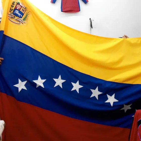 Bandera De Venezuela