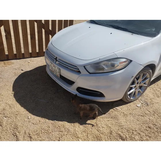 Dodge Dart 2.0 Sxt At