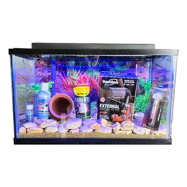 Kit Pecera Vidrio Acuario Especial Ajolotes Axolotl - 40l