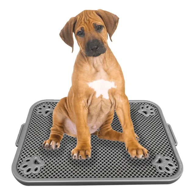 Bandeja Sanitaria Plana 60 X 40 Cm. Para Adiestrar Perros