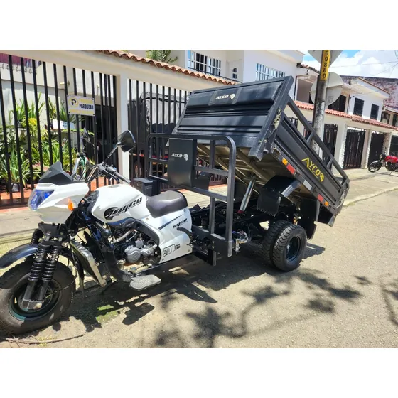 Ayco Ay300 1 Tonelada, Con Gato Para Arena