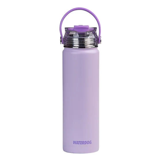 Botella Térmica Waterdog Akwa 650ml Acero Inoxidable C/pico Color Lila PS