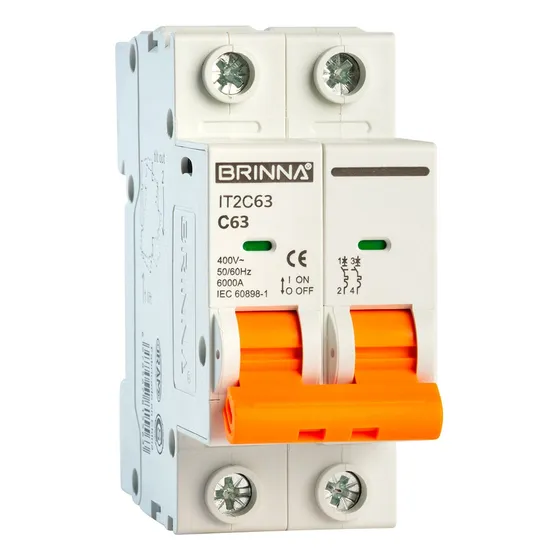 Llave Termica Bipolar 2x63 Brinna 63 Amp 6ka