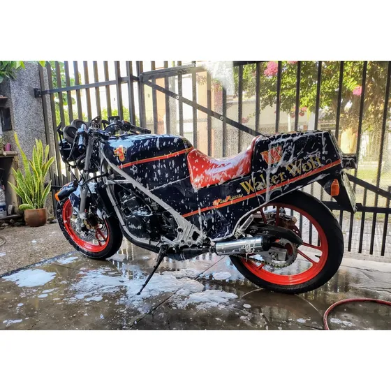 Suzuki Rg 250 Walter Wolf Ed Especial