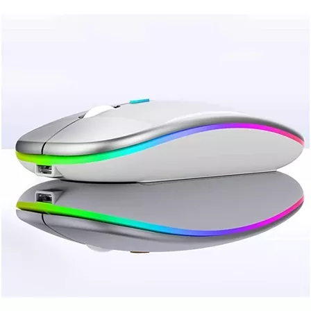 Mouse Sem Fio Recarregável Wireless Led Rgb Ergonômico Cor Cinza