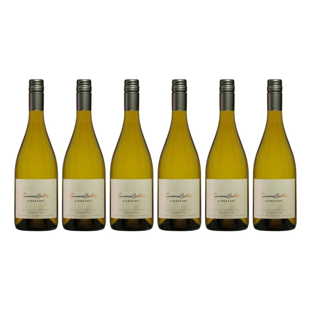 Caja X6 Susana Balbo Signature Barrel Fermented Torrontes