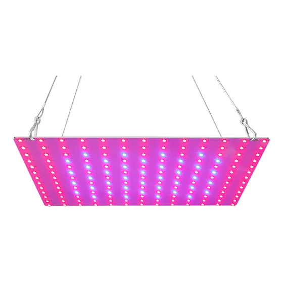 Led Grow Light Vermelho Azul Full Spectrum 169 Leds Grow Lâm