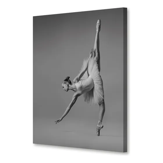 Cuadros Decorativos Modernos Bailarinas Y Moda Fashions