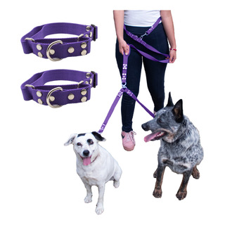 Kit Correa Doble 4en1 & 2 Collares Para Perro Reforzados Kit Correa Doble 4en1 & 2 Collares Para Perro Reforzados