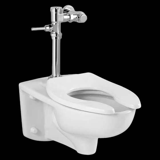 Standard Afwall Inodoro Comercial Valvula Descarga Manual