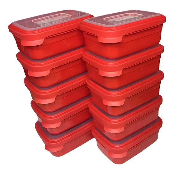Kit 10 Marmitinhas 500ml - Freezer & Microondas