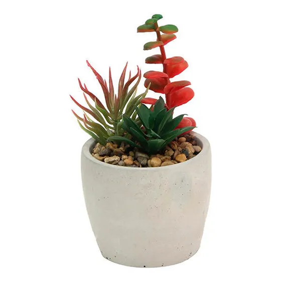 Planta Artificial Decoración Cactus Suculenta Maceta Cemento