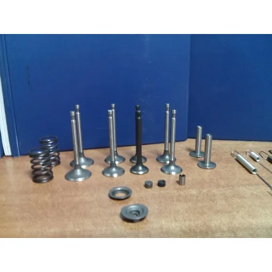 Repuestos Para Motor Domosa Toyama Kapa Solpawer Y Más 