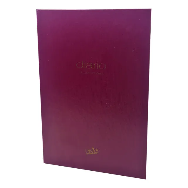 Libro Contable Diario 3 Columnas-100 Folios-paginas