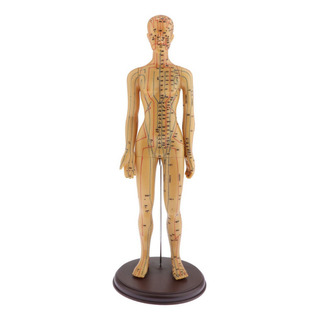 Cw Modelo De Acupuntura Y Meridiano Del Cuerpo Humano Cw Modelo De Acupuntura Y Meridiano Del Cuerpo Humano