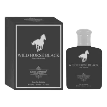 Perfume Hombre Polo Negro  100ml Generic