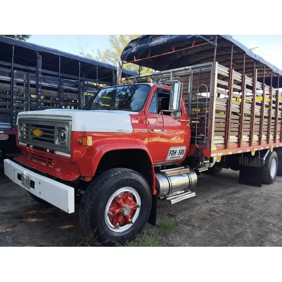 Camión Chevrolet Listo Para Trabajar!