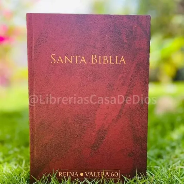 Biblia Reina Valera