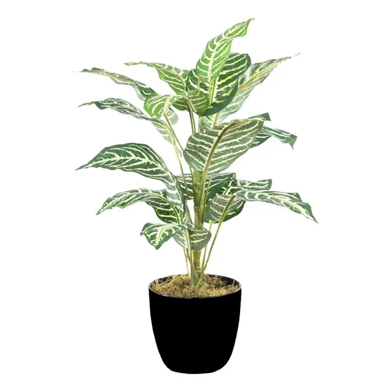 Planta Artificial Verde Afelandra 50cm C/maceta