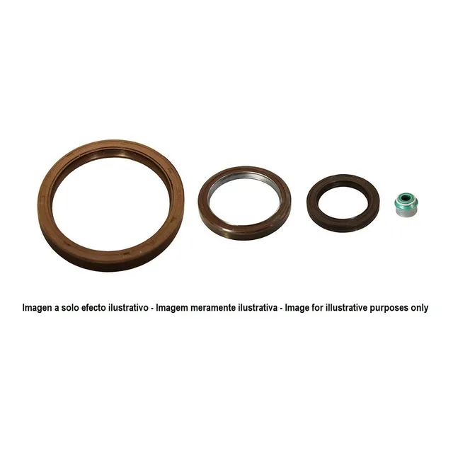 Reten Ford Ranger Rueda Trasera - Palier   A 187 Bid