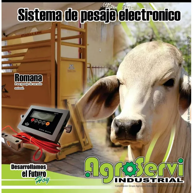 Balanza Con Sistema De Pesaje