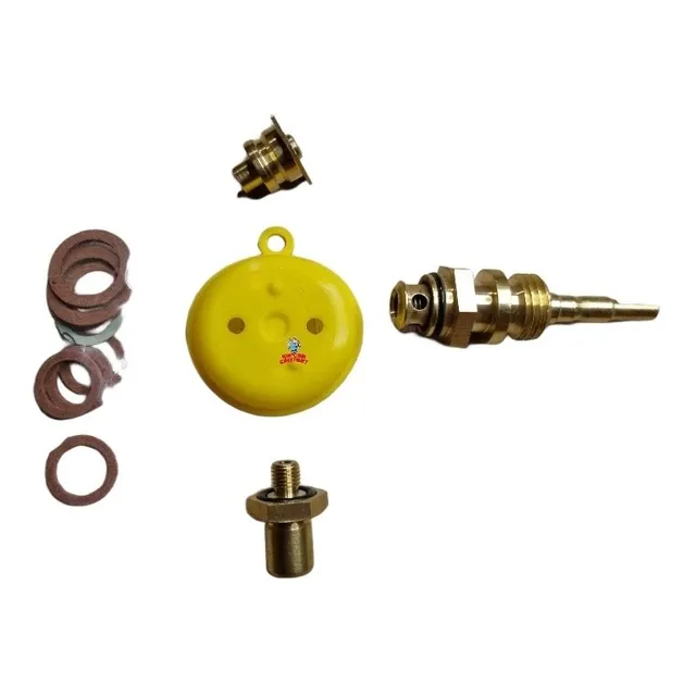 Kit De Mantencion Junkers Wr250-325