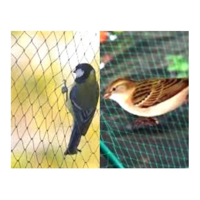 Mallas Nylon Antipajaro En El Ecuador