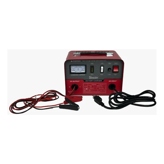 Cargador De Baterias 12v/24v