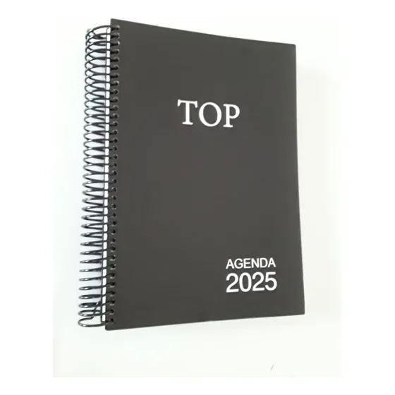 Agenda Executiva Diaria Top Grande Espiral A4
