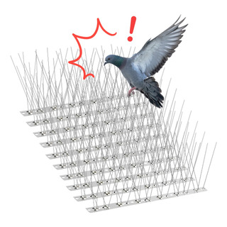 10 Pcs Púas Antipalomas Y Aves Caja Con Lineales Inoxidables 10 Pcs Púas Antipalomas Y Aves Caja Con Lineales Inoxidables
