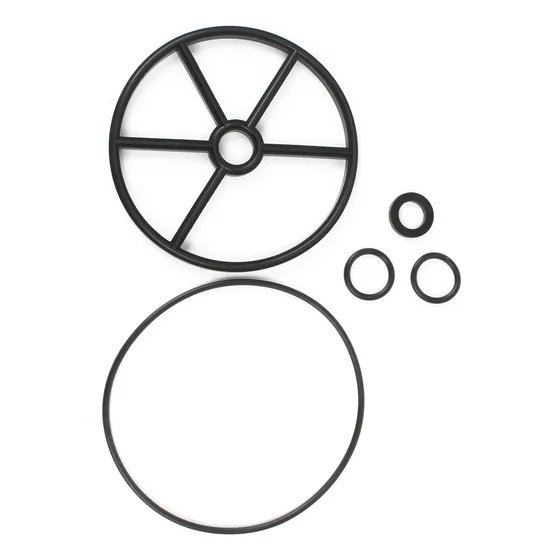 Lankstet Kit Reconstruccion Para Reemplazo Pentair Pool