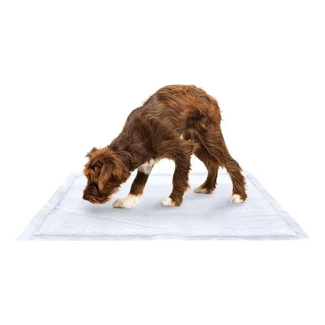 Pañal Alfombra De Entrenamiento Para Perro 30 Unid 60x90 