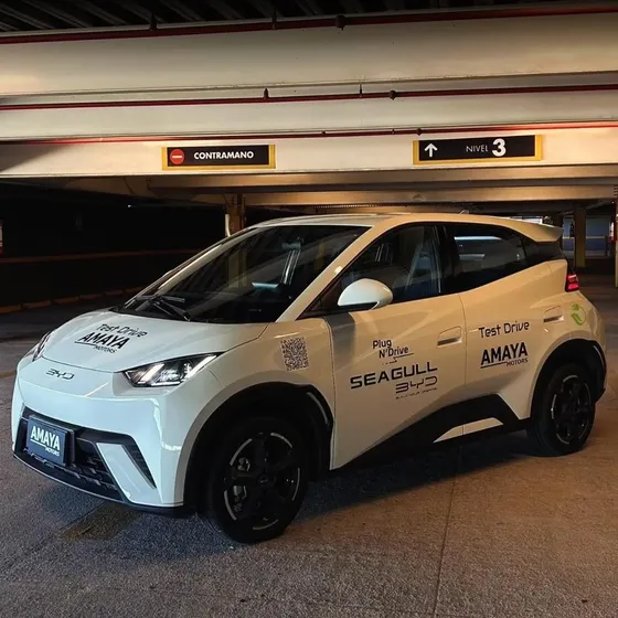 BYD Seagull 2027 Ev 300