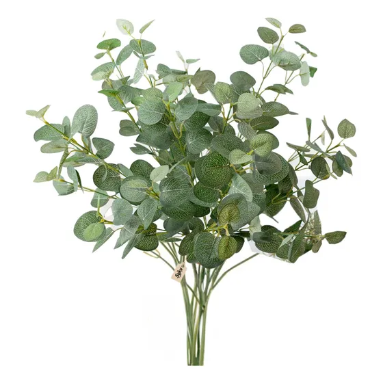 Soku Ramo Plantas Decorativas Casa Oficina Spa Eucalipto Color Verde