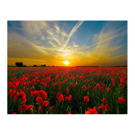 Diamond Paintings Sunset In The Field Maka