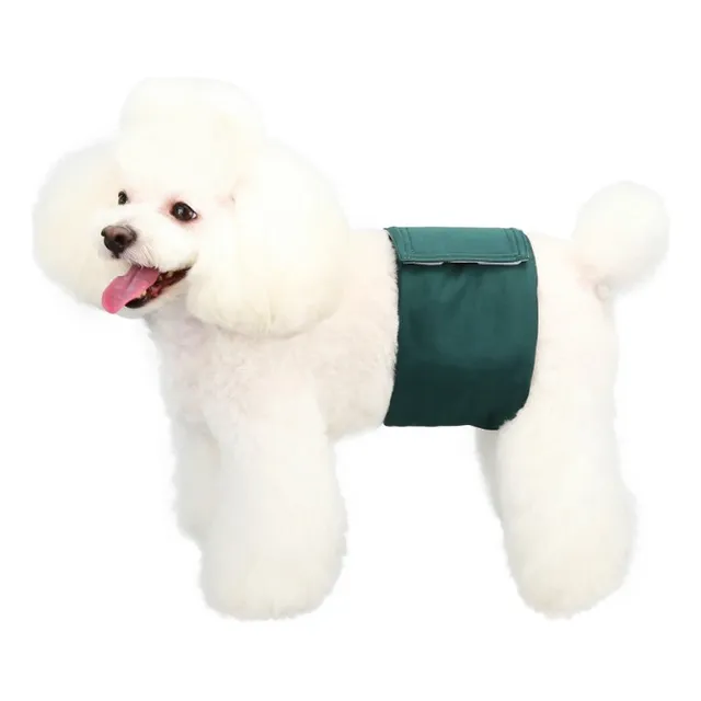 Pañales Reutilizables Ecológicos Perro Macho