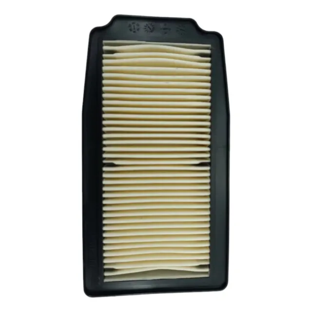 Filtro Aire Gw-250 Inazuma