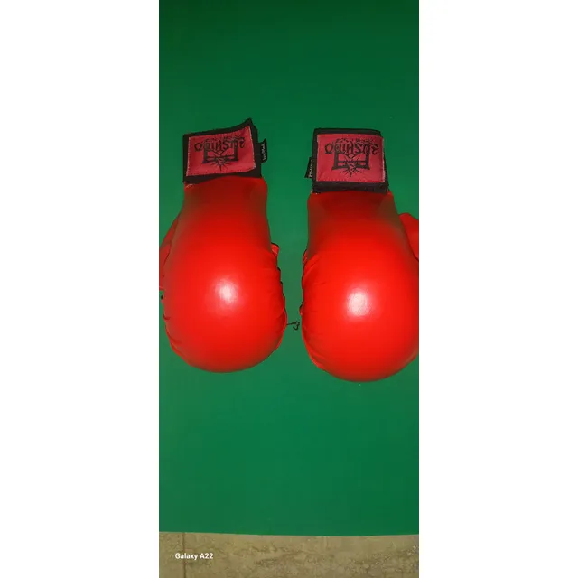Guantes De Karate Bushido