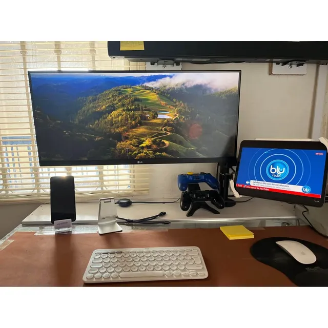 Monitor LG Ultrawide 29wn600 29  Led Blanco 75hz Freesync