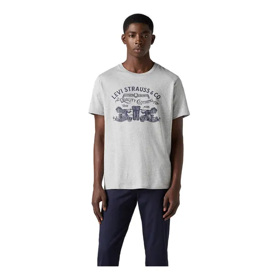 Polo Hombre Graphic Crewneck Tee Gris Levis 22491-1880