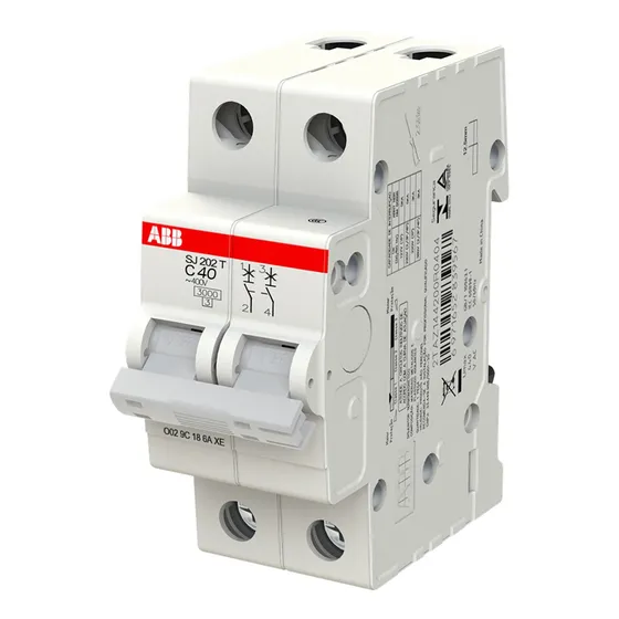 Disjuntor Bipolar Abb 40a Curva C Norma Din