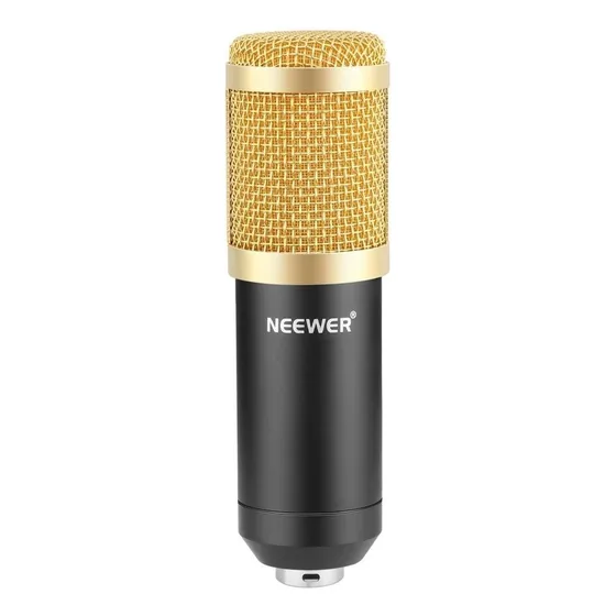 Micrófono Neewer NW-800 Condensador Hipercardioide color oro