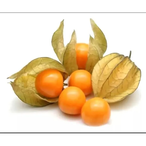 Golden Berry
