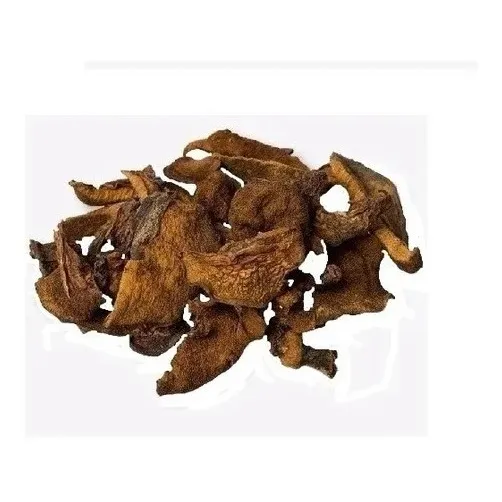 Hongos De Pino Bolletus X 500gr | Sin Tacc | Cumaná